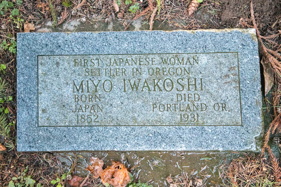 overhead view of Miyo Iwakoshi's rectangular head stone