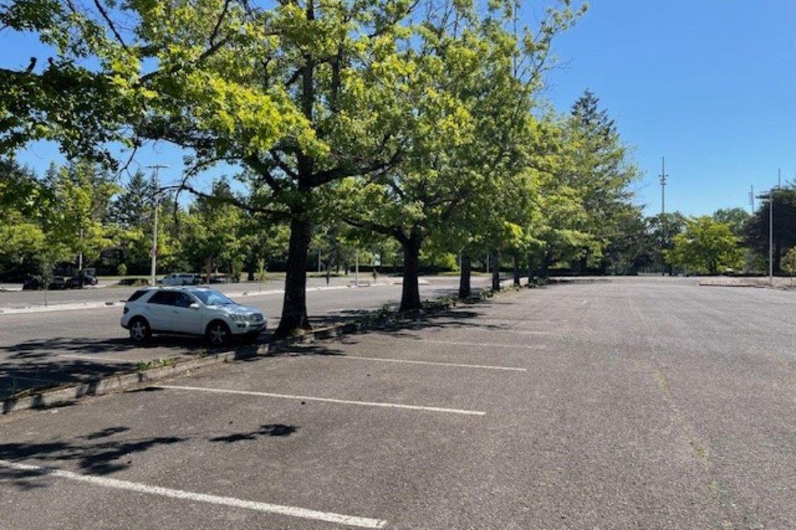 A mostly empty parking lot at Mt. Hood Community College. Trees line the median between rows of parking spaces. 