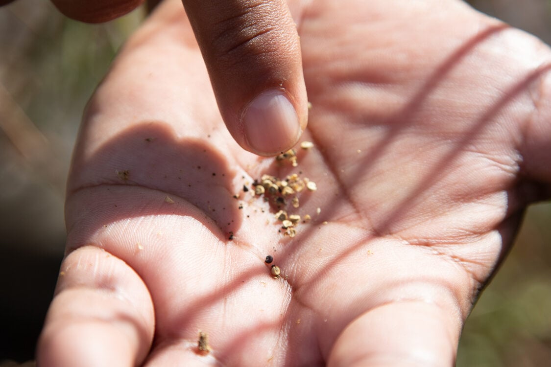 A finger points to small grains of sand are held in the palm of a person's hand.