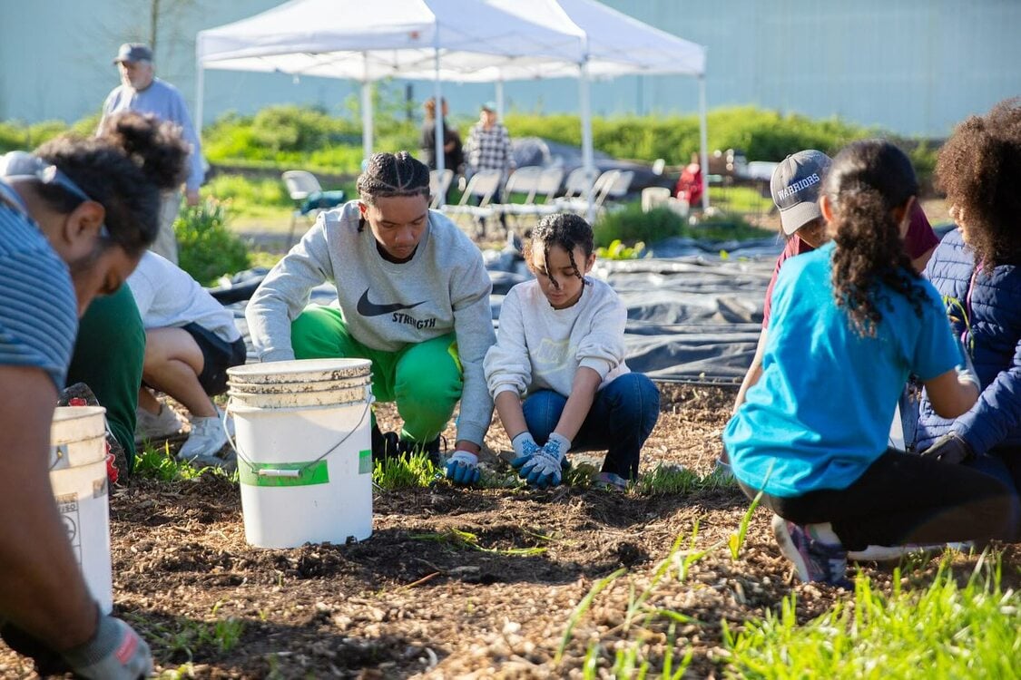 A group of people tend to plants at a community garden.