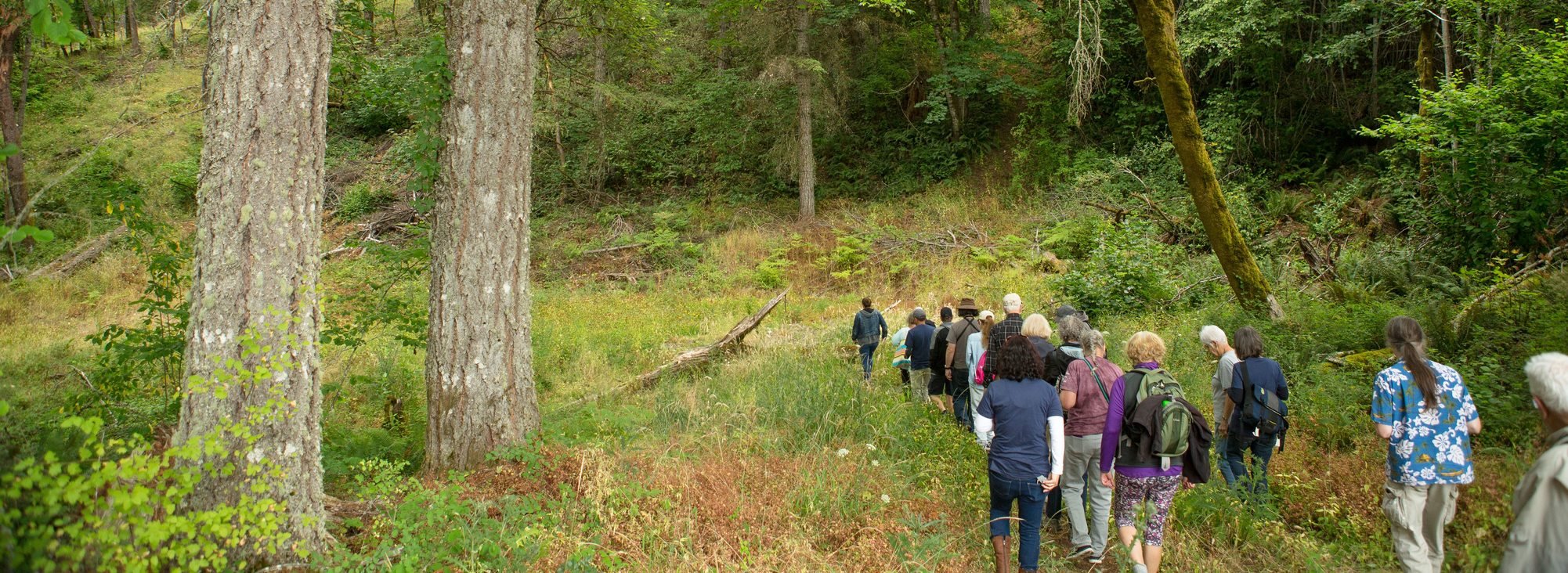 Group of people being led on a tour through Chehalem Ridge Nature Park. The group is shown from behind, walking on a trail through the woods.