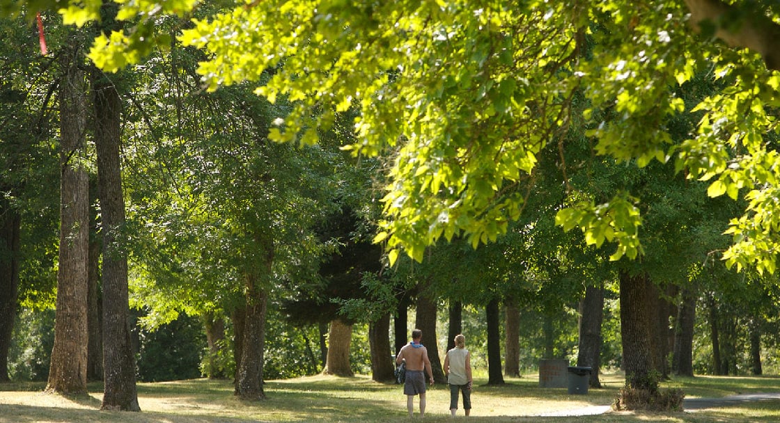 People walking underneath trees at Blue Lake Park