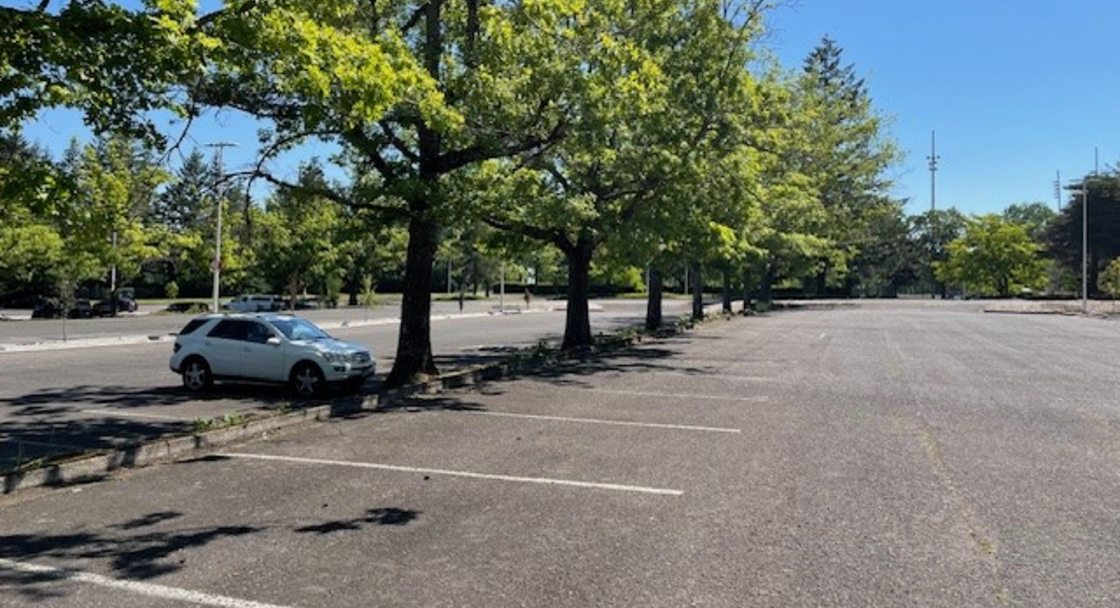 A mostly empty parking lot at Mt. Hood Community College. Trees line the median between rows of parking spaces. 