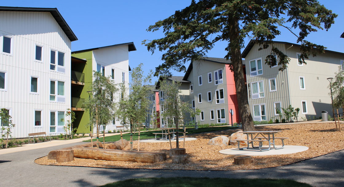 Exterior view of Las Flores affordable housing project in Oregon City, with picnic benches and a large old fir tree in front of the 3-story buildings making up the complex.