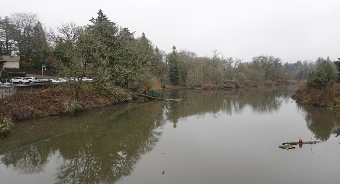 A still lake dotted with flotsam under a cloudy sky. To the left, a parking lot and apartment building can be seen just a few feet up the lake's bank.